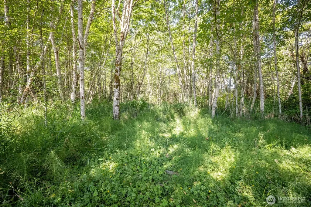 92 Gossett Road Port Angeles WA 98363