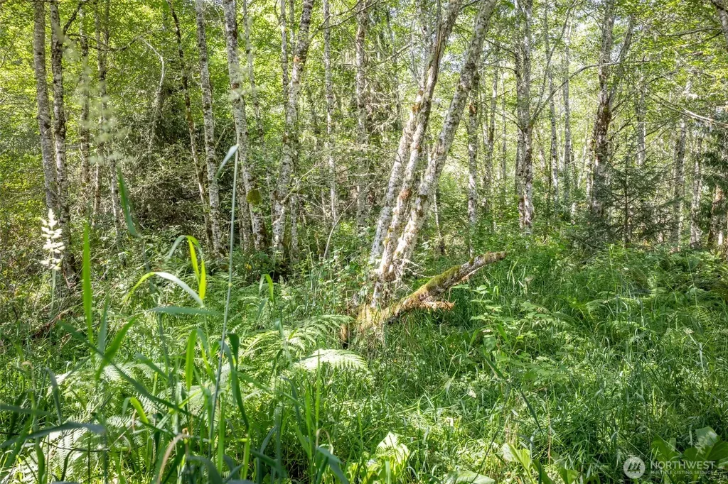 92 Gossett Road Port Angeles WA 98363