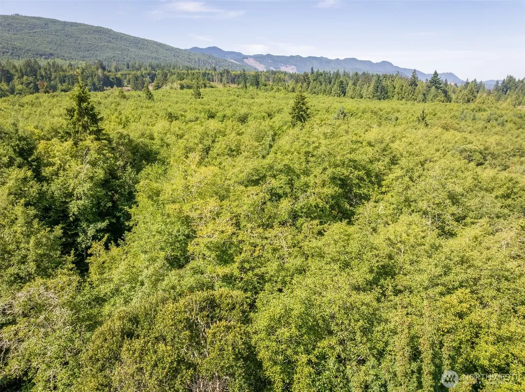92 Gossett Road Port Angeles WA 98363