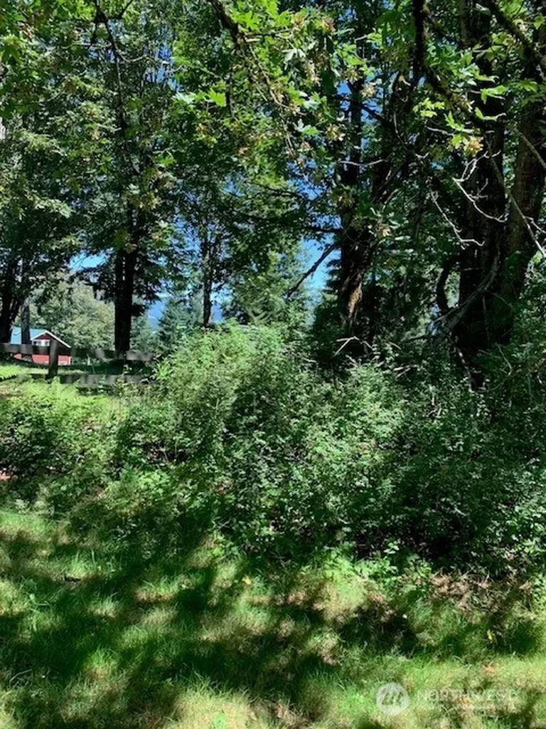 85 364th Avenue SE Snoqualmie WA 98065