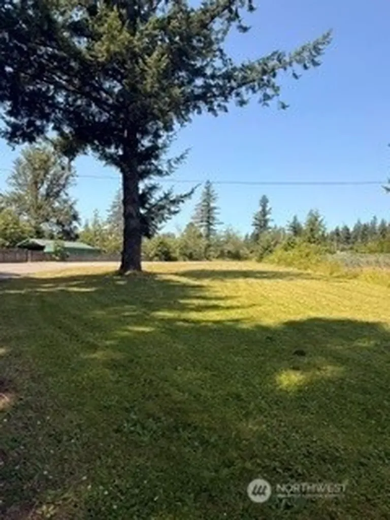 33607 SE 309th Street Ravensdale WA 98051