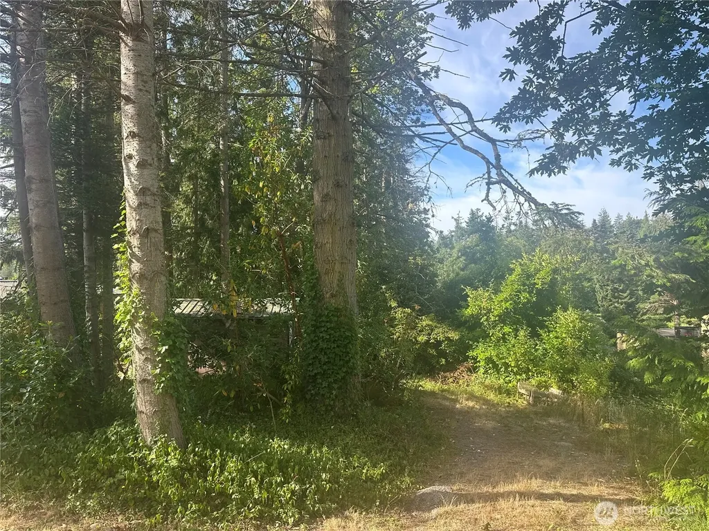 0 Lake Drive Camano Island WA 98282