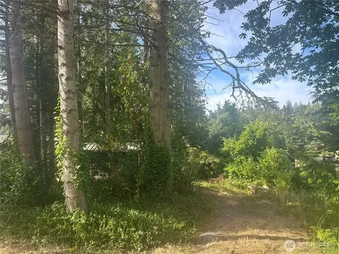 0 Lake Drive Camano Island WA 98282