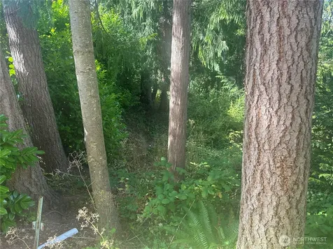 0 Lake Drive Camano Island WA 98282