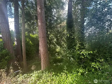 0 Lake Drive Camano Island WA 98282