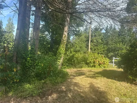 0 Lake Drive Camano Island WA 98282