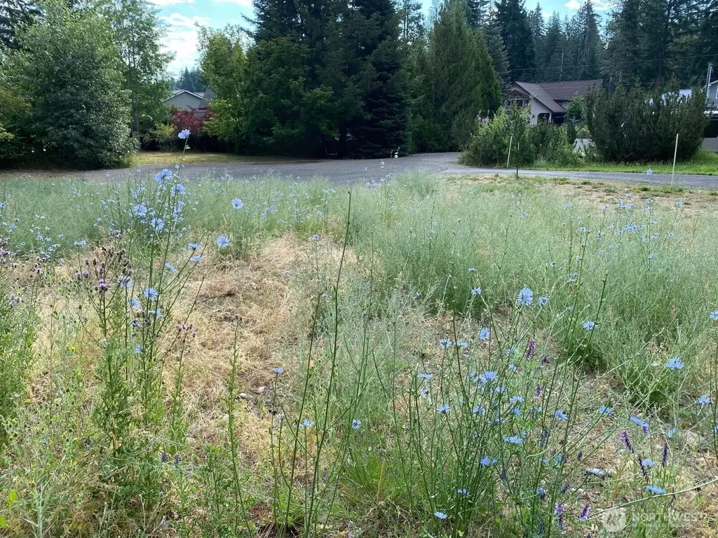 7 Kuhuku Court Cle Elum WA 98922