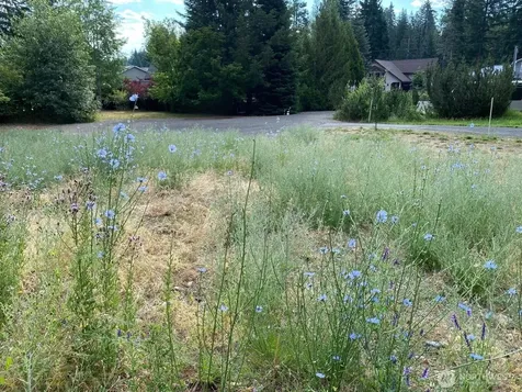 7 Kuhuku Court Cle Elum WA 98922