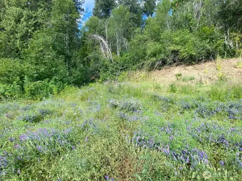 7 Kuhuku Court Cle Elum WA 98922