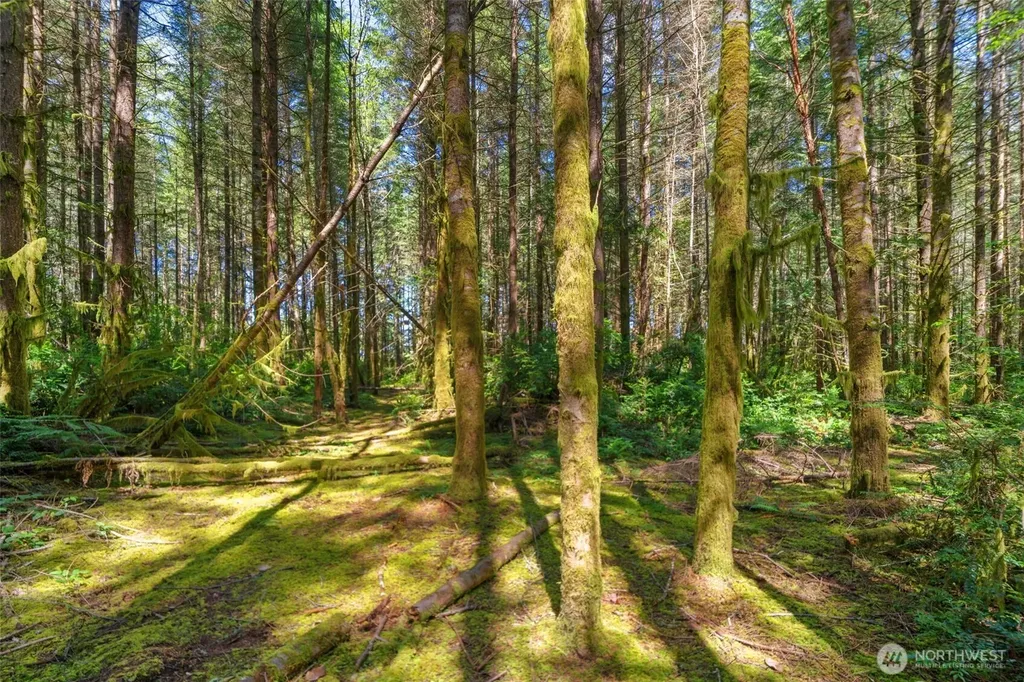 630 NW Coleman Court Poulsbo WA 98370