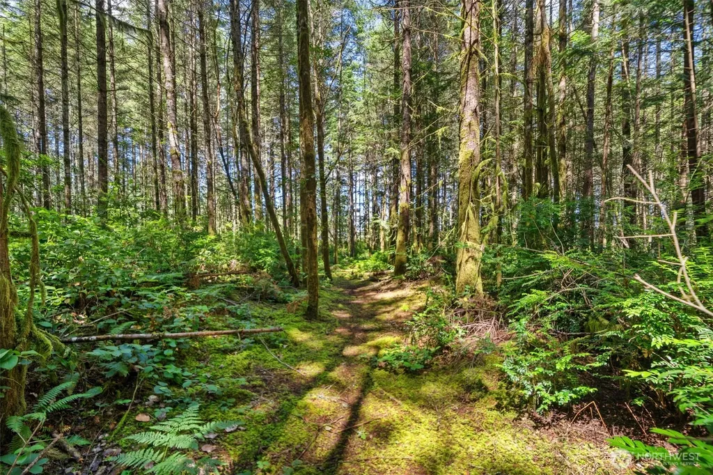 630 NW Coleman Court Poulsbo WA 98370