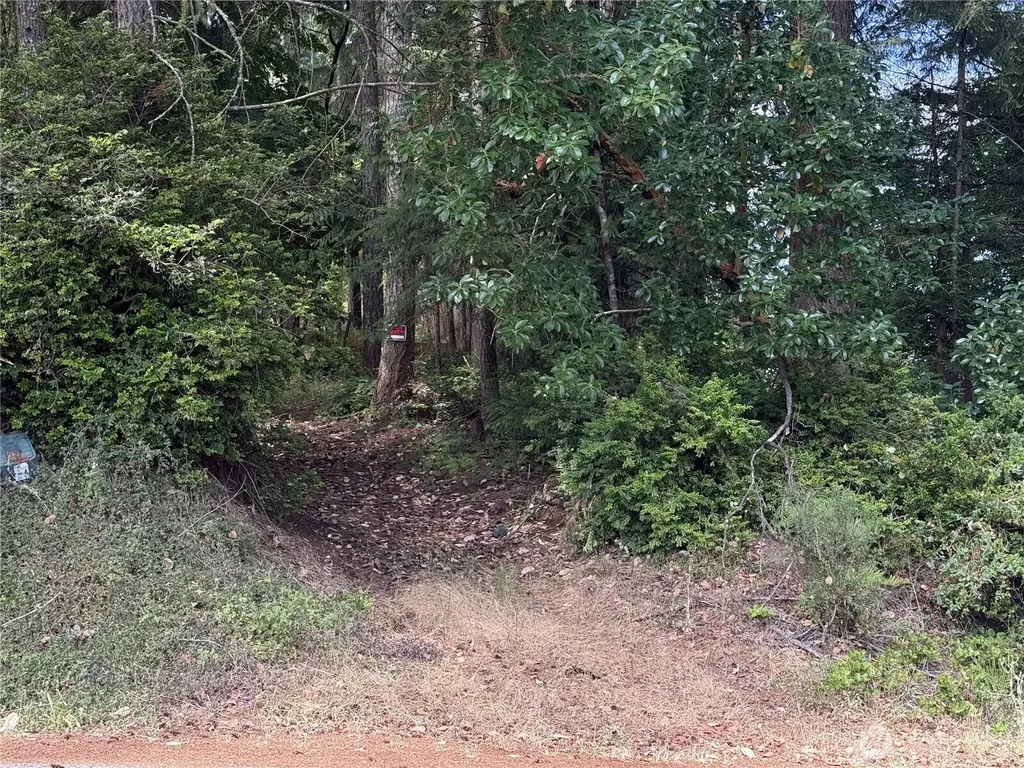 19421 24th Street SW Lakebay WA 98349