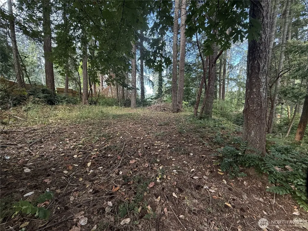 19421 24th Street SW Lakebay WA 98349