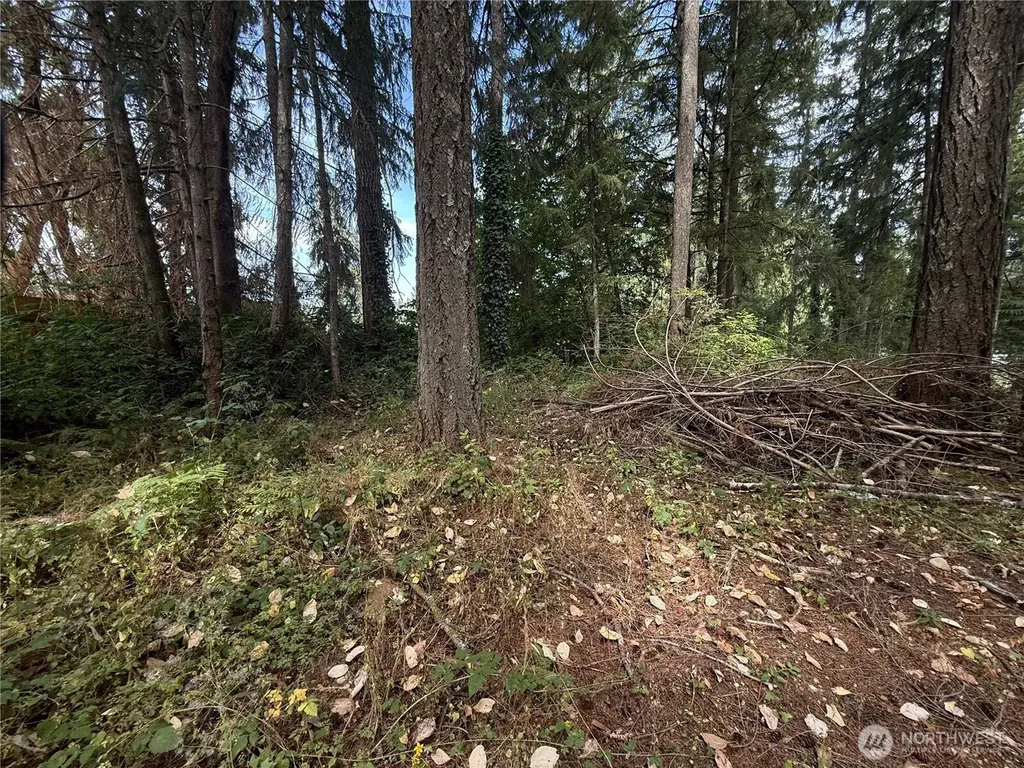 19421 24th Street SW Lakebay WA 98349