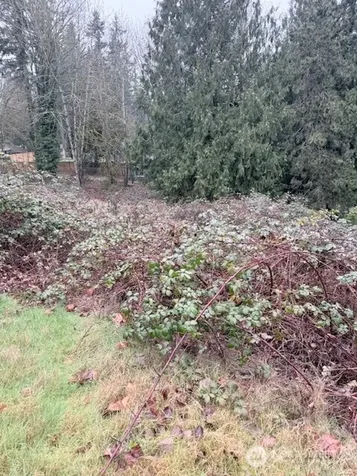 14708 SE 145th Place Renton WA 98059