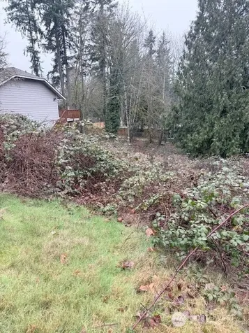 14708 SE 145th Place Renton WA 98059