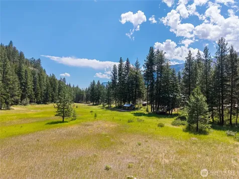 226 Lost River Road Mazama WA 98833