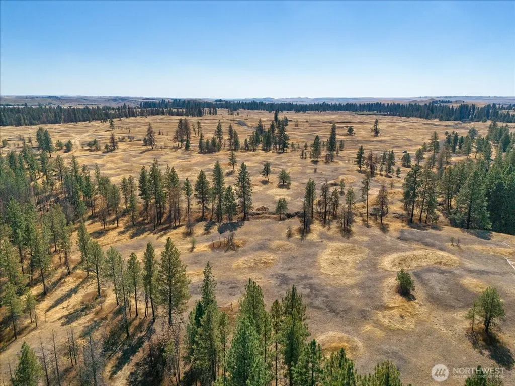36377 S Bootstrap Lane Cheney WA 99004