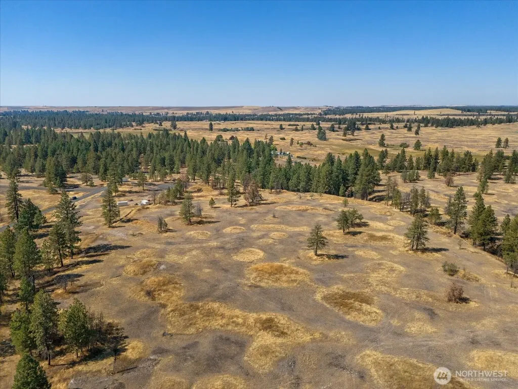 36377 S Bootstrap Lane Cheney WA 99004