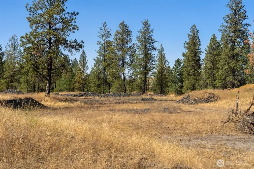 36321 S Bootstrap Lane Cheney WA 99004