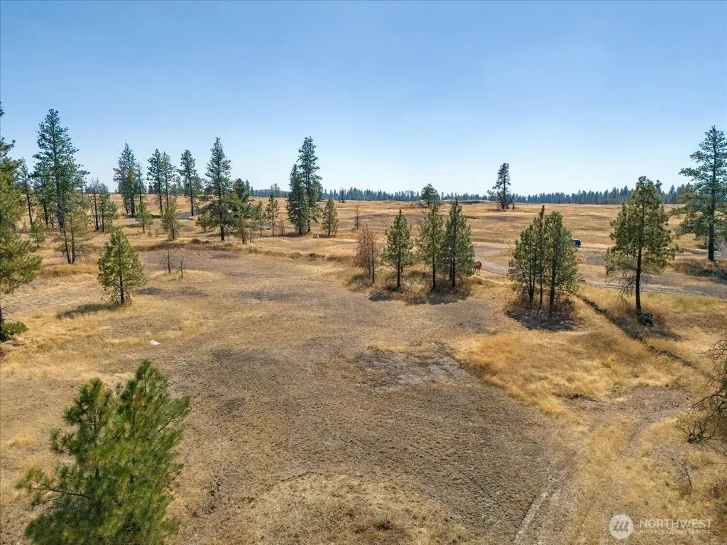36321 S Bootstrap Lane Cheney WA 99004