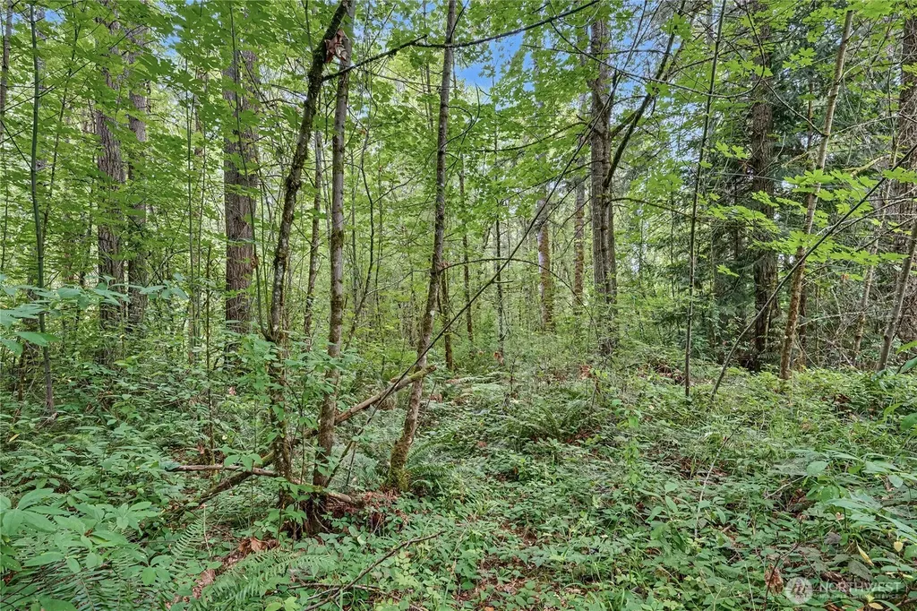29405 39th Avenue Ct E Graham WA 98338