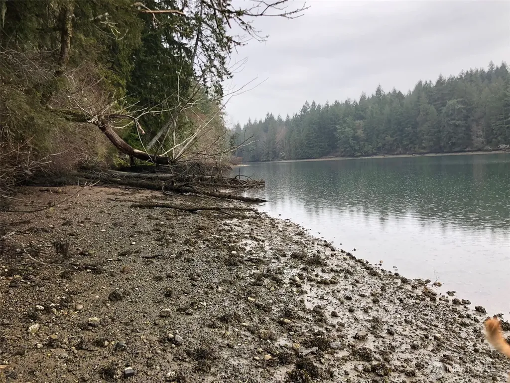 4101 161st Avenue SW Longbranch WA 98351