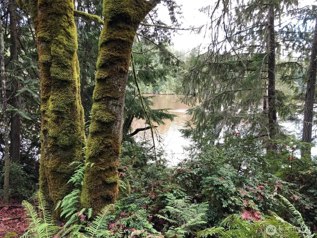 4101 161st Avenue SW Longbranch WA 98351