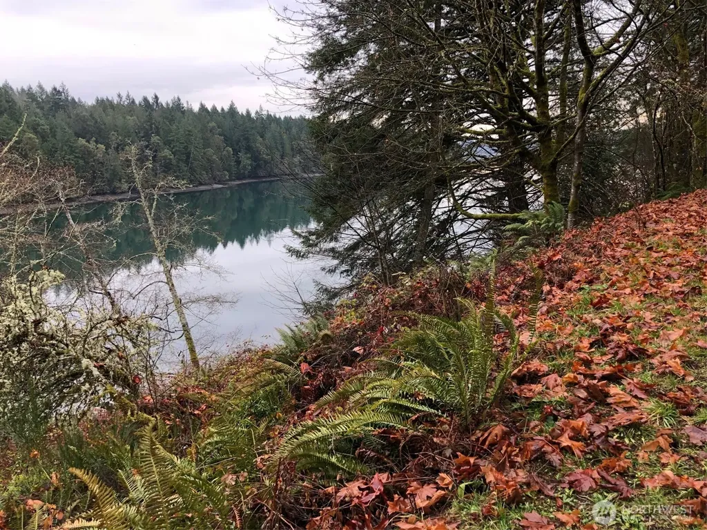 4101 161st Avenue SW Longbranch WA 98351