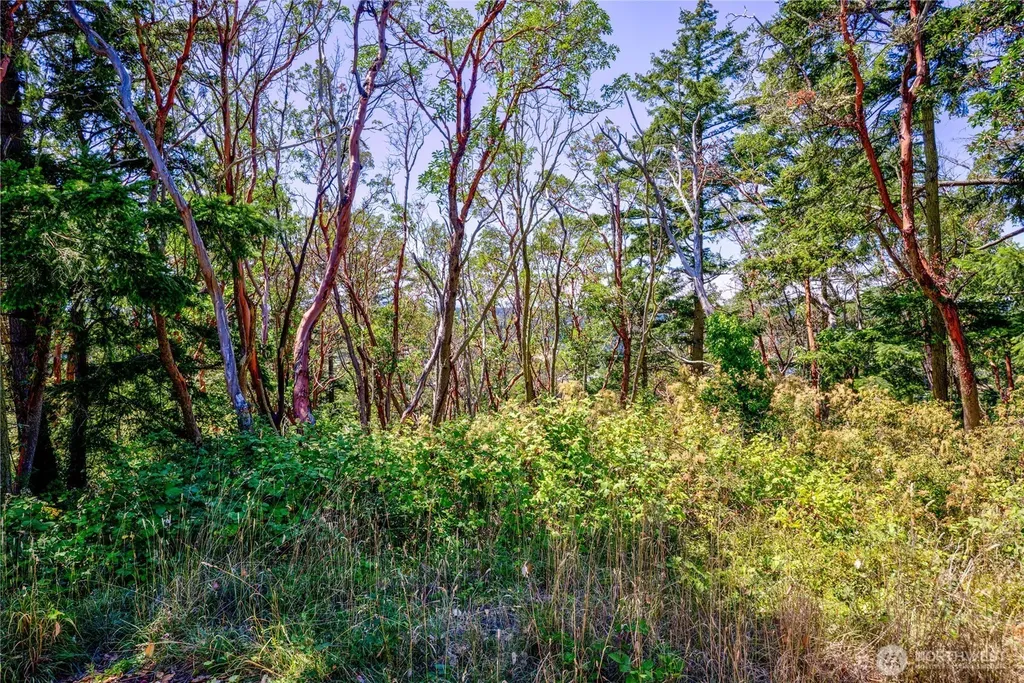 1025 Maple Street Port Townsend WA 98368