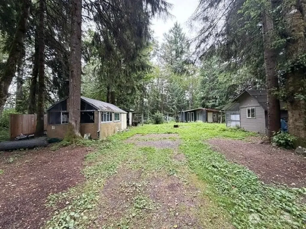 55901 317th Avenue E Ashford WA 98304