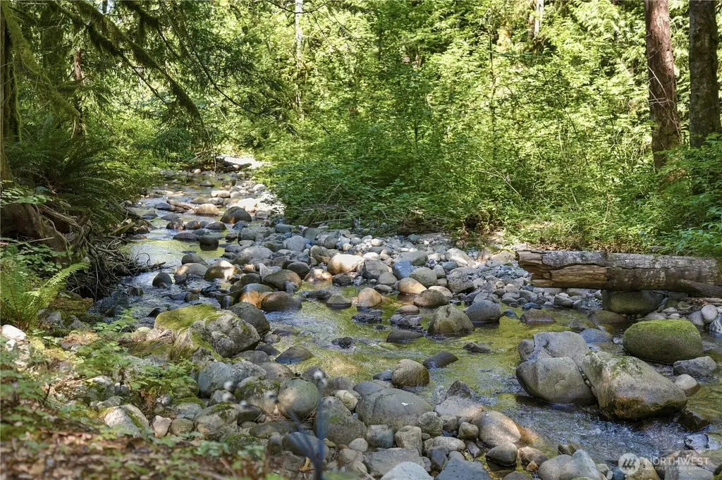 48308 River Park Drive Index WA 98256