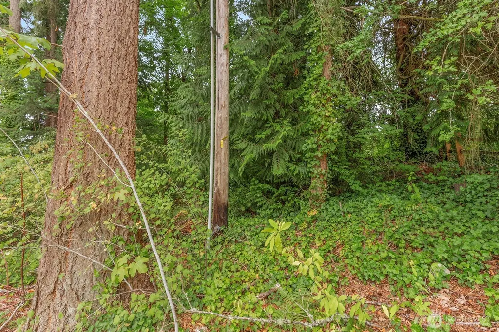 1234 Woodinville Duvall Road Woodinville WA 98072