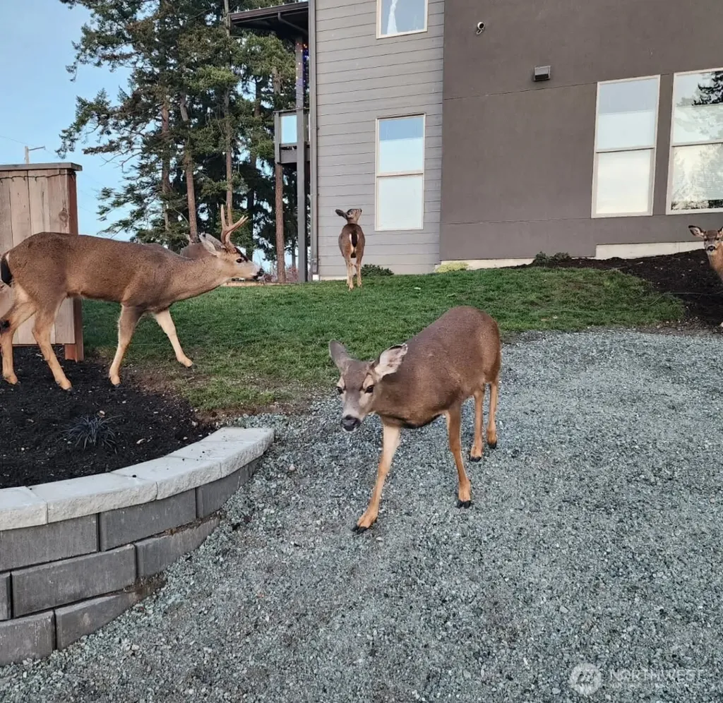 1505 Harbor View Court Anacortes WA 98221