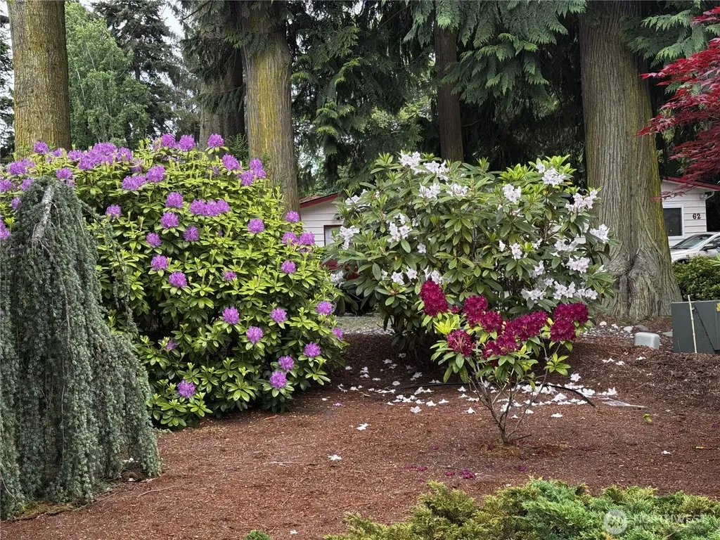 82 Cypress Port Angeles WA 98362