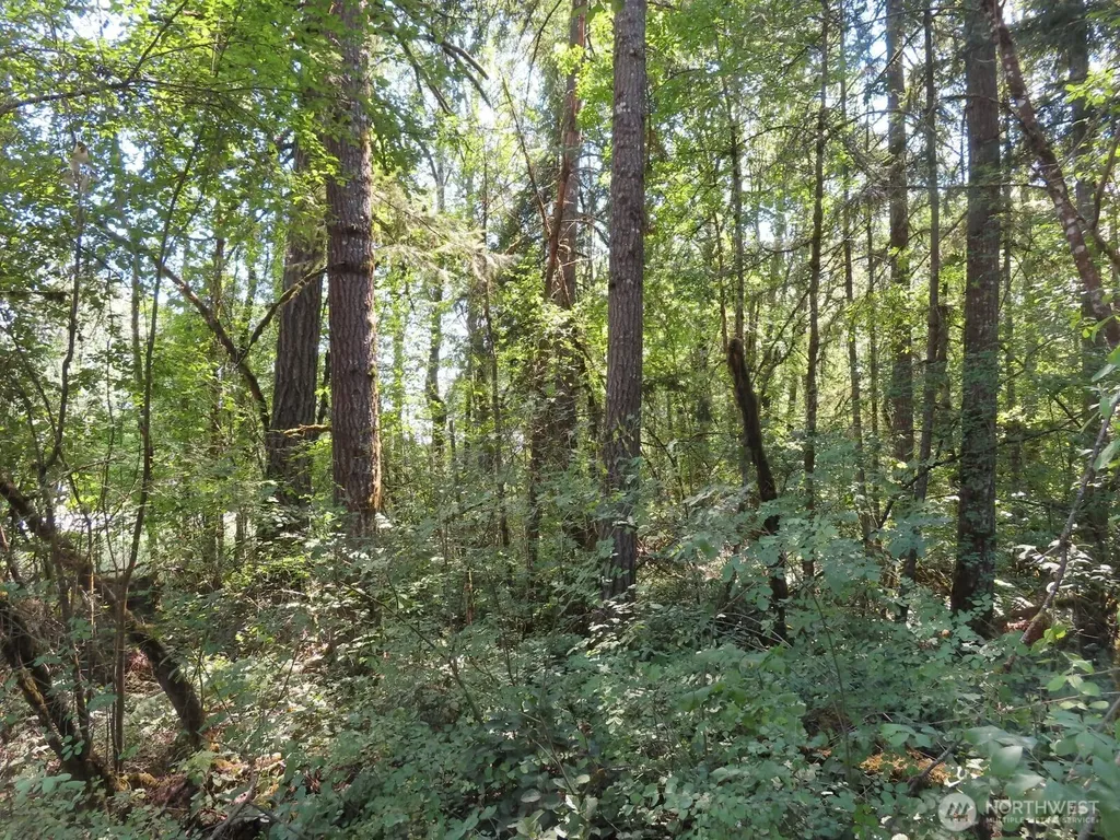 115 Campground Lane Winlock WA 98596