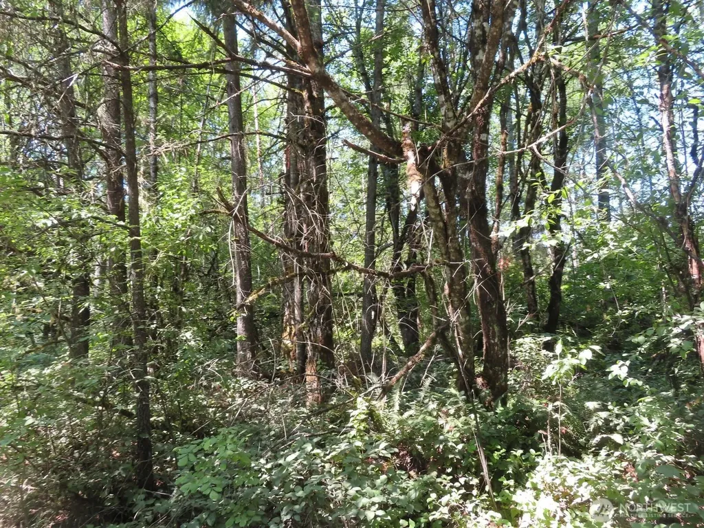 115 Campground Lane Winlock WA 98596