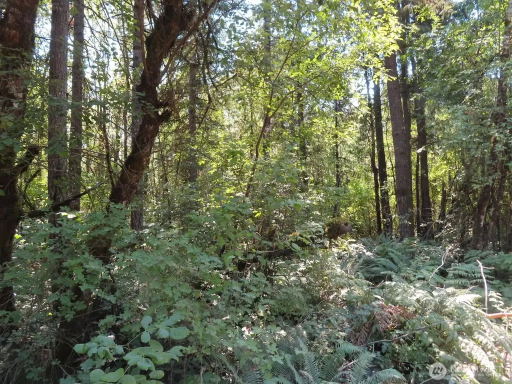 115 Campground Lane Winlock WA 98596
