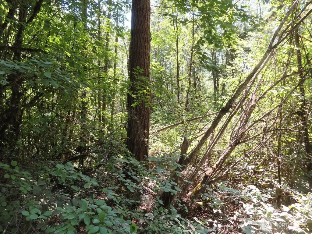 115 Campground Lane Winlock WA 98596
