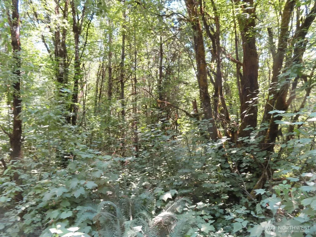 115 Campground Lane Winlock WA 98596