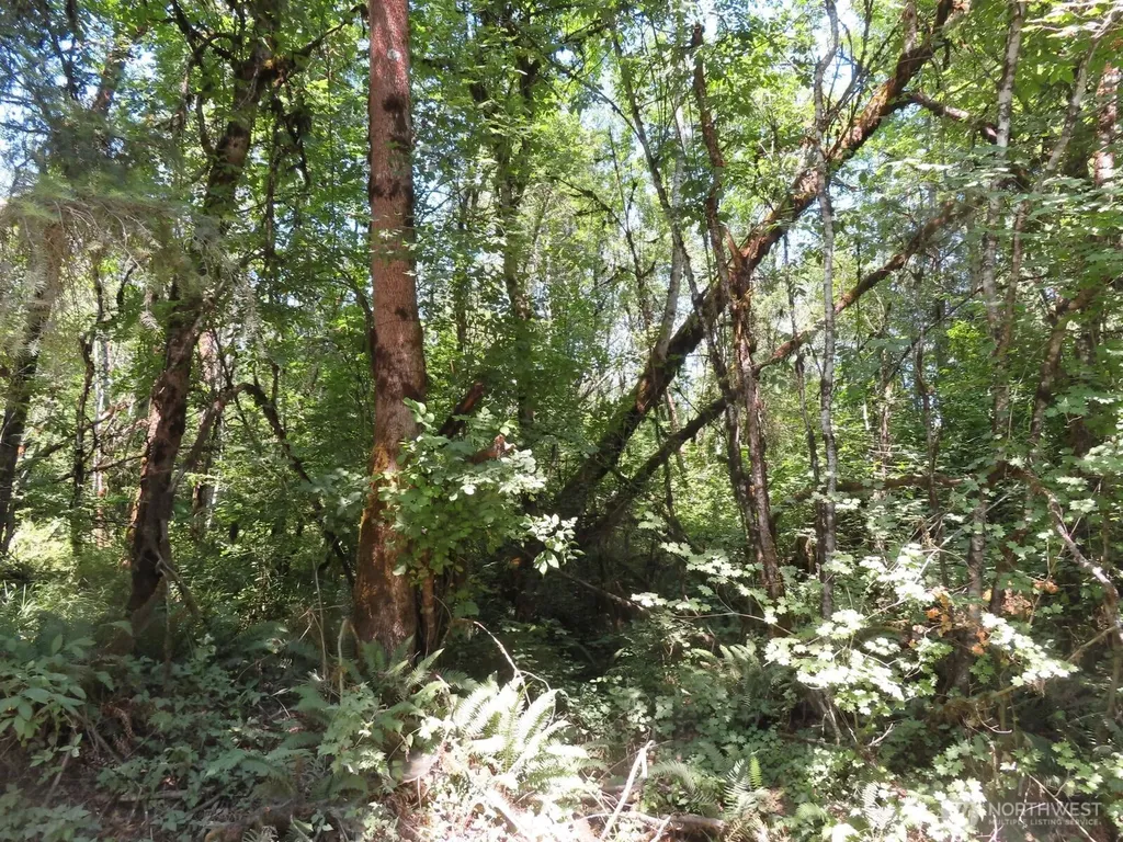 115 Campground Lane Winlock WA 98596