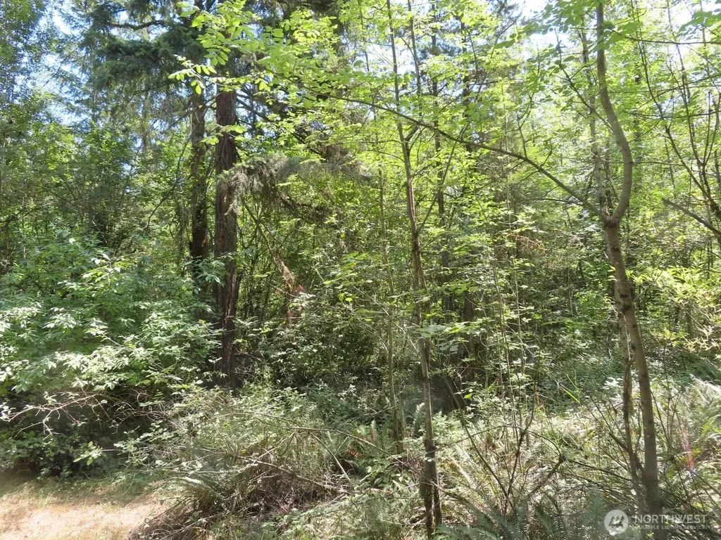 115 Campground Lane Winlock WA 98596