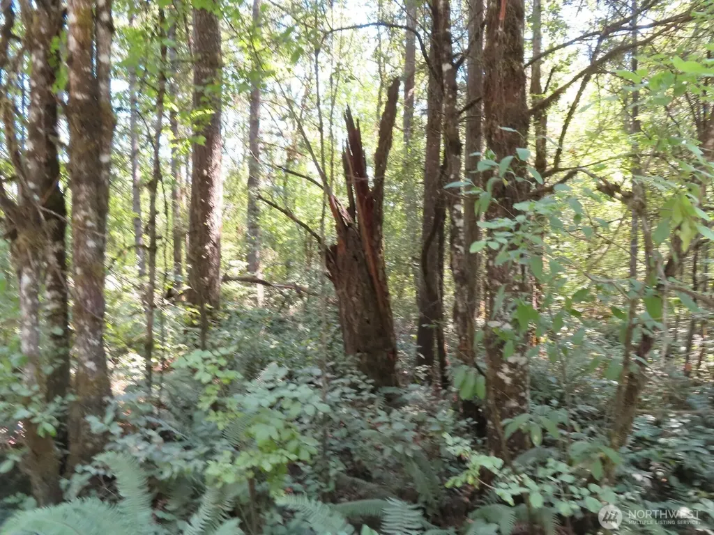 115 Campground Lane Winlock WA 98596
