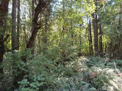 115 Campground Lane Winlock WA 98596