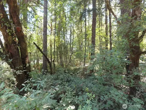 115 Campground Lane Winlock WA 98596