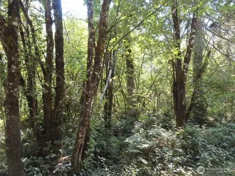 115 Campground Lane Winlock WA 98596