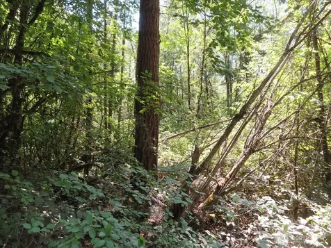 115 Campground Lane Winlock WA 98596