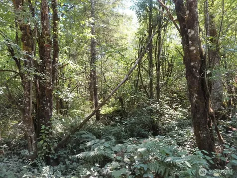 115 Campground Lane Winlock WA 98596
