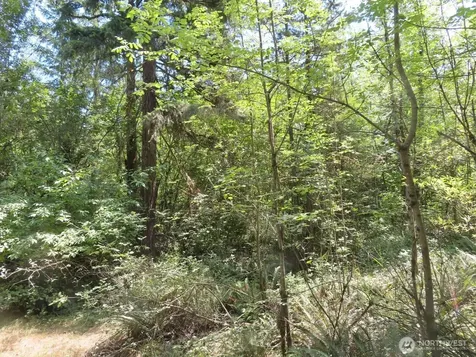 115 Campground Lane Winlock WA 98596