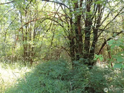 115 Campground Lane Winlock WA 98596
